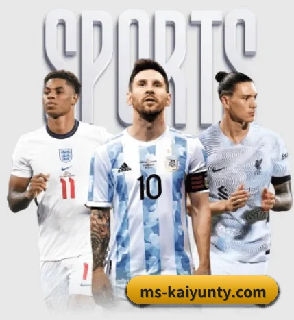 五个功能入口,赛程查询路径更短 - 多运动项目内容板块(kaiyun)